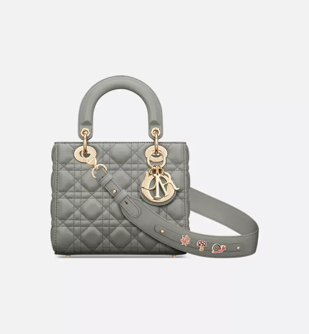 LADY DIOR SMALL W/ PINS · stone gray ghw