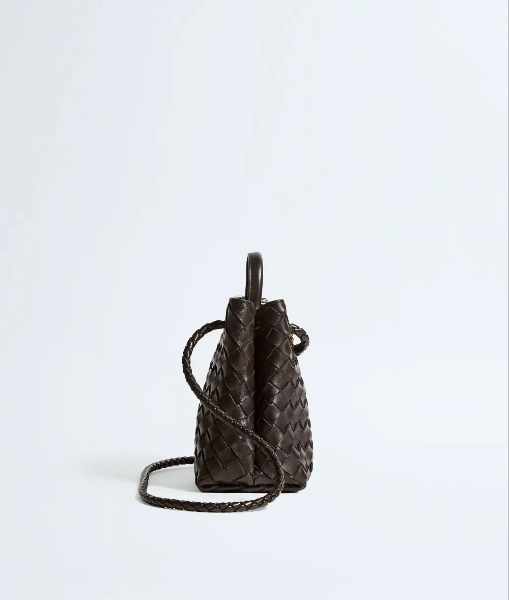 BOTTEGA VENETA BV SMALL ANDIAMO BAG fondant ghw