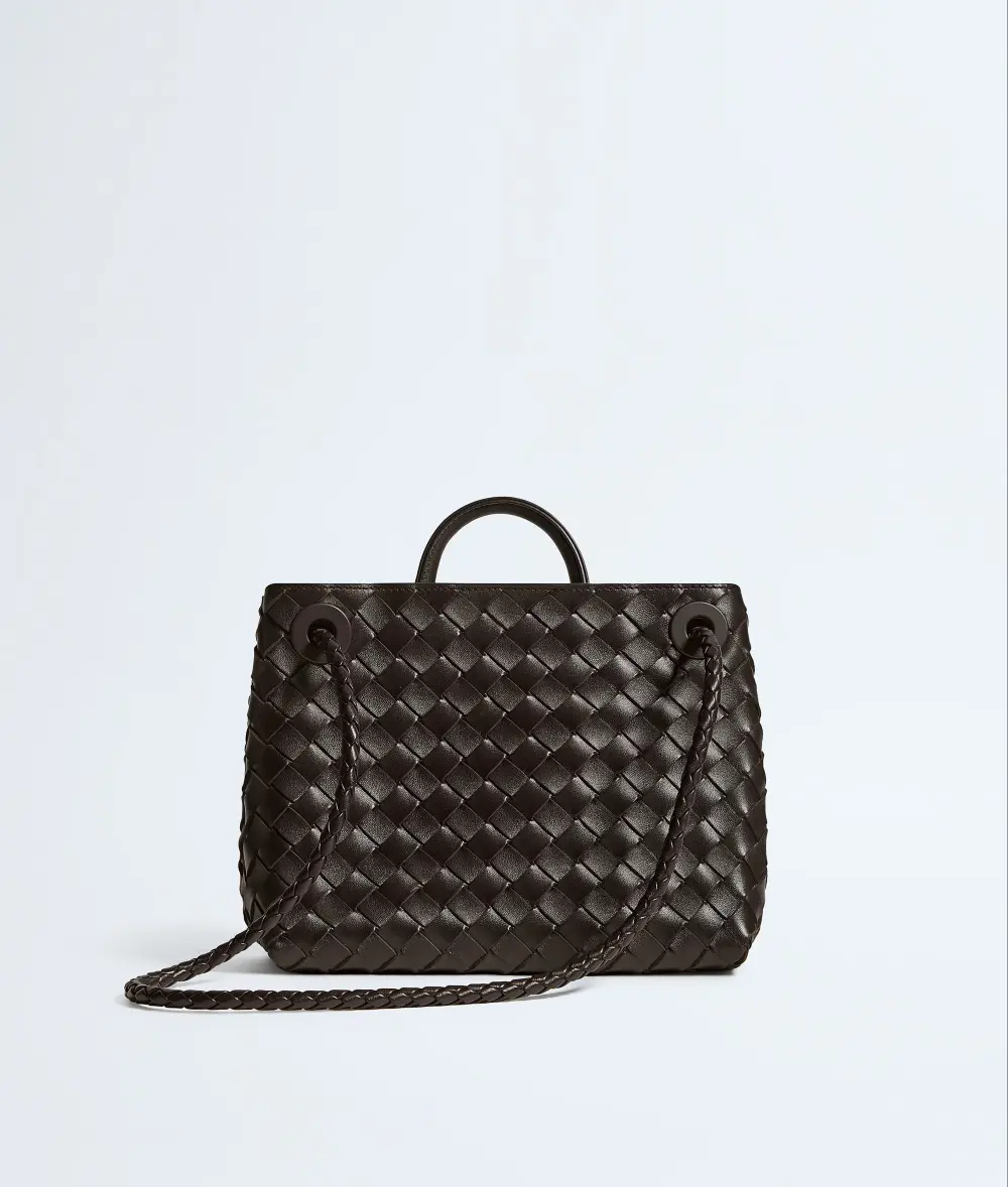 BOTTEGA VENETA BV SMALL ANDIAMO BAG fondant ghw