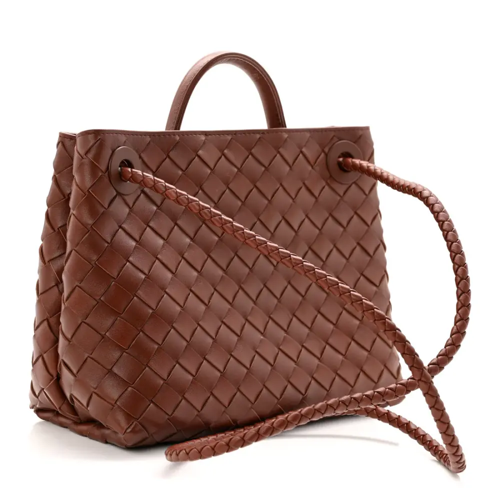 BOTTEGA VENETA BV SMALL ANDIAMO BAG SAPELE