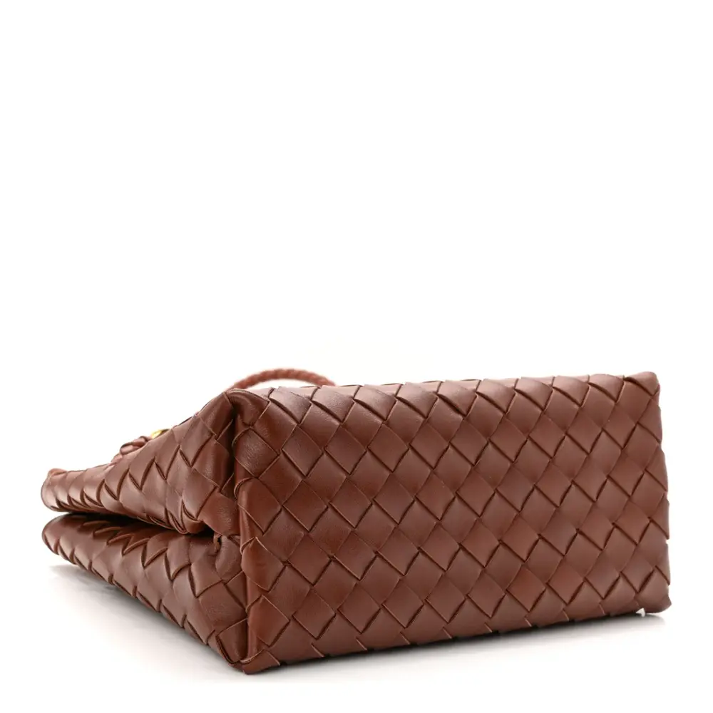 BOTTEGA VENETA BV SMALL ANDIAMO BAG SAPELE