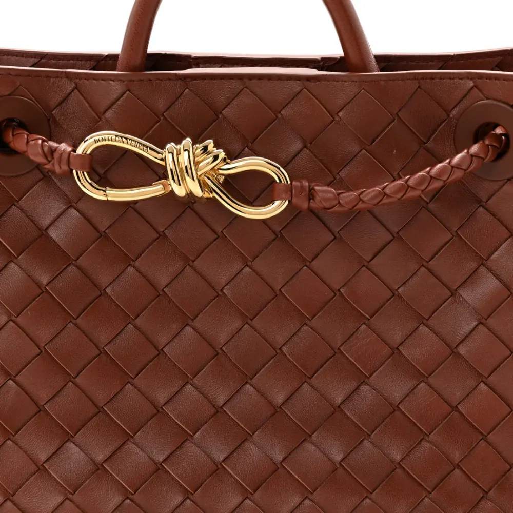BOTTEGA VENETA BV SMALL ANDIAMO BAG SAPELE