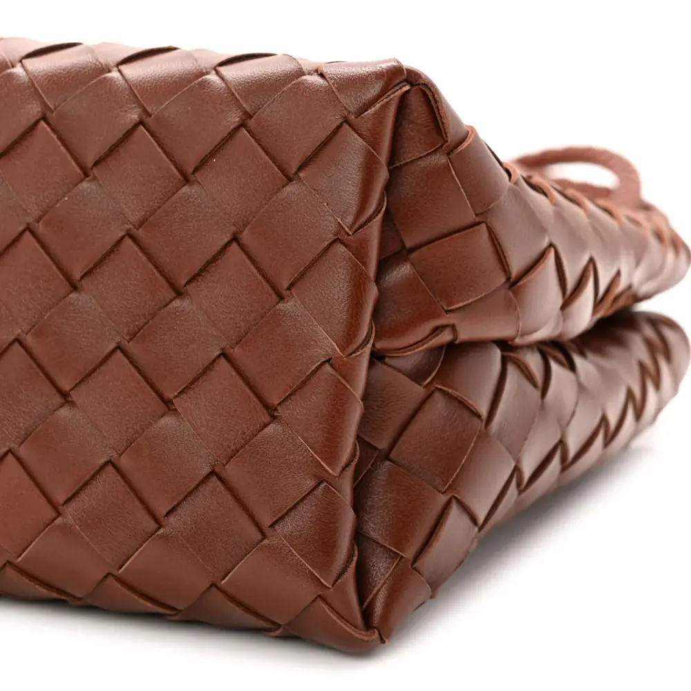 BOTTEGA VENETA BV SMALL ANDIAMO BAG SAPELE